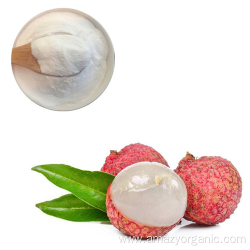 Natural Fruit Powder Lichee Lychee Extract Powder